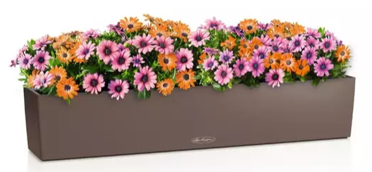LECHUZA BALCONERA COLOR 100/19/19CM SET COMPLET NUTMEG 15916