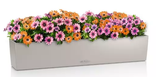LECHUZA BALCONERA COLOR 100/19/19CM SET COMPLET BEJ NISIPIU 15917