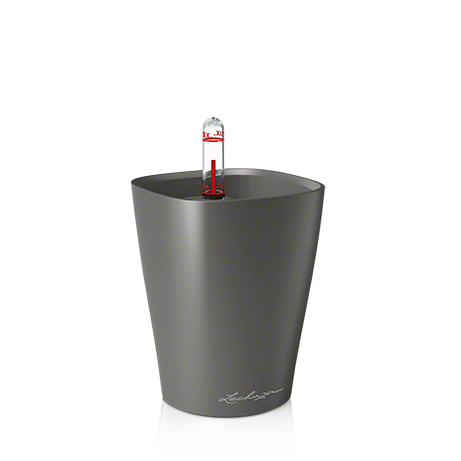 LECHUZA MINI DELTINI 10/13CM SET COMPLET CHARCOAL 14949