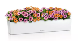 [91L15919] LECHUZA BALCONERA COLOR 100/19/19CM SET COMPLET ALB 15919