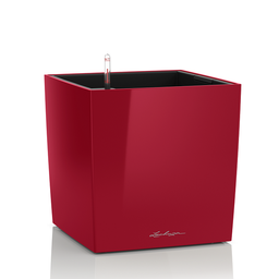 [91L16367] LECHUZA CUBE PREMIUM 40 SET COMPLET ROSU 16367