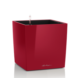 [91L16467] LECHUZA CUBE PREMIUM 30 SET COMPLET ROSU 16467