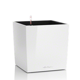 [91L16460] LECHUZA CUBE PREMIUM 30 SET COMPLET ALB 16460
