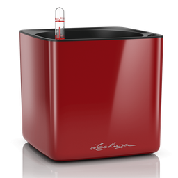 [91L13522] LECHUZA CUBE GLOSSY 16 SET COMPLET ROSU 13522