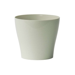 [91EP0270] VAS SYNUE 16CM 2552/69 CREM