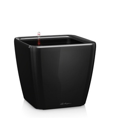 [91L16149] LECHUZA QUADRO PREMIUM 28/26CM LS SET COMPLET NEGRU16149