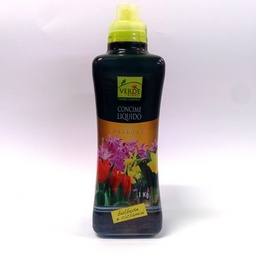 [91SH0019] ***INGRASAMANT VIVO VERDE PLANTE CU FLORI 1KG